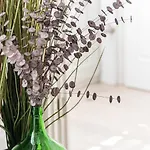 Guestready - Bonjardim Building Appartement Oporto